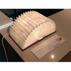 31r86mda3pL._SL500_AA300_