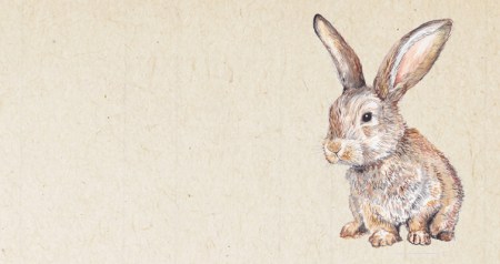 8052085f-020b-435d-a2bb-bd175035874d