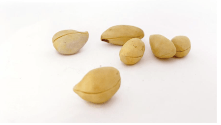 Screen Shot 2019-12-03 at 11.00.02 PM.png